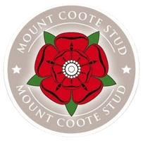 Mount Coote Stud management team at the office